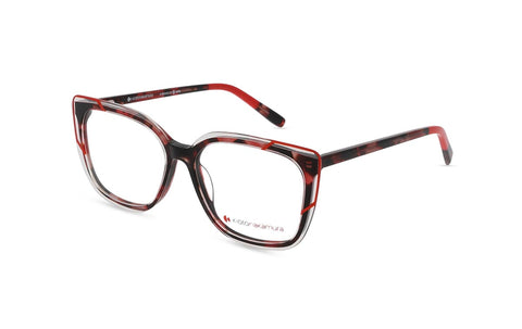 KIOTO NAKAMURA -  KNP302