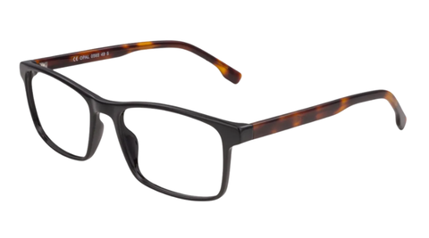 JOY OPAA262